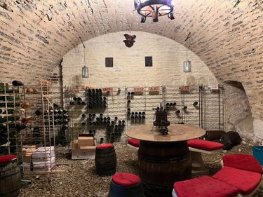 Maison a vendre Jully-sur-Sarce 10260 Aube 470 m2 11 pièces 499000 euros