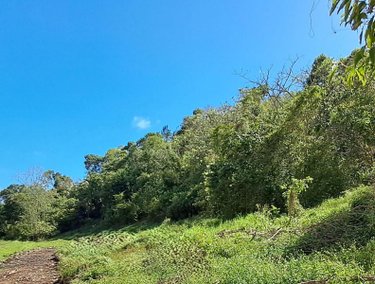Terrain a batir a vendre Le Gosier 97190 Guadeloupe 1947 m2  227000 euros