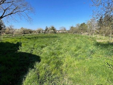 Maison a vendre Millançay 41200 Loir-et-Cher 84 m2 3 pièces 96440 euros