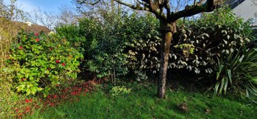Maison a vendre Rennes 35000 Ille-et-Vilaine 99 m2 5 pièces 403650 euros