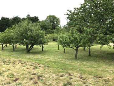 Maison a vendre Bonnétable 72110 Sarthe 70 m2 3 pièces 156750 euros
