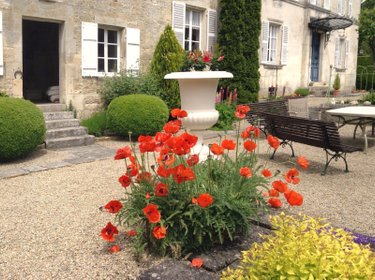 Maison a vendre Joinville 52300 Haute-Marne 267 m2 15 pièces 335512 euros