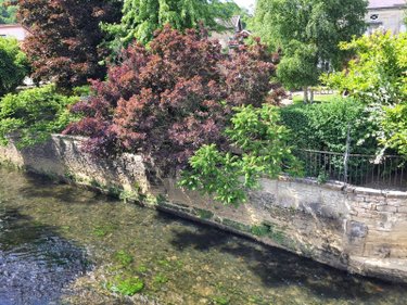 Maison a vendre Joinville 52300 Haute-Marne 267 m2 15 pièces 335512 euros