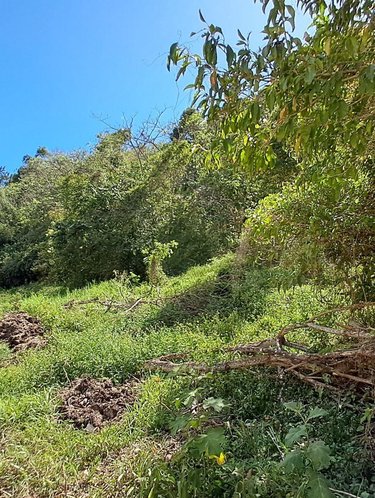 Terrain a batir a vendre Le Gosier 97190 Guadeloupe 2573 m2  272500 euros