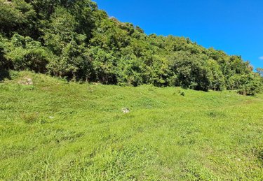 Terrain a batir a vendre Le Gosier 97190 Guadeloupe 2573 m2  206500 euros