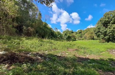 Terrain a batir a vendre Le Gosier 97190 Guadeloupe 3013 m2  161500 euros