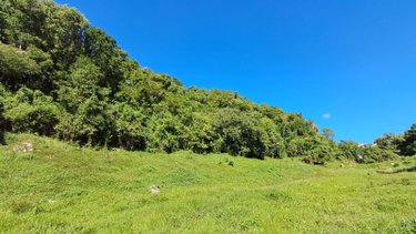 Terrain a batir a vendre Le Gosier 97190 Guadeloupe 3013 m2  161500 euros