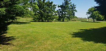 Fonds et murs commerciaux a vendre Châtillon-sur-Cher 41130 Loir-et-Cher 500 m2  316200 euros