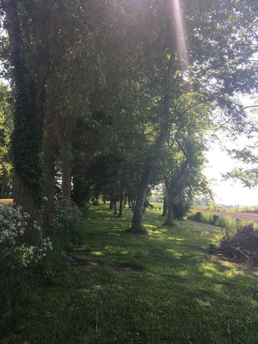 Maison a vendre Merckeghem 59470 Nord 250 m2 12 pièces 229500 euros