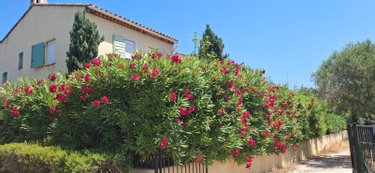 Maison a vendre Bandol 83150 Var 114 m2 4 pièces 563600 euros