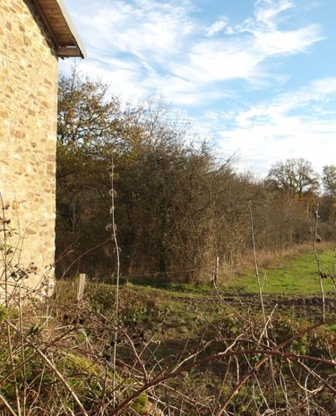 propriete a vendre Bétête 23270 Creuse 88 m2 5 pièces 91120 euros