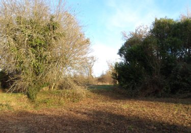 propriete a vendre Bétête 23270 Creuse 88 m2 5 pièces 91120 euros