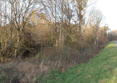 propriete a vendre Bétête 23270 Creuse 88 m2 5 pièces 91120 euros