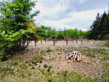 Maison a vendre Saint-Hilaire-Foissac 19550 Corrèze 40 m2 3 pièces 67840 euros