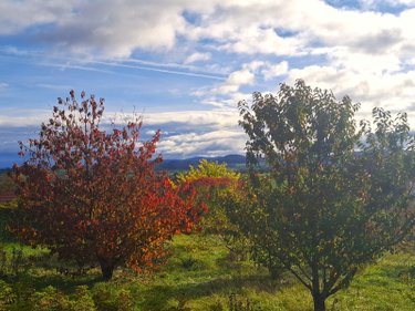 Terrain a batir a vendre Aulhat-Saint-Privat 63500 Puy-de-Dôme 705 m2  81000 euros