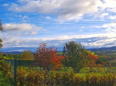 Terrain a batir a vendre Aulhat-Saint-Privat 63500 Puy-de-Dôme 705 m2  81000 euros