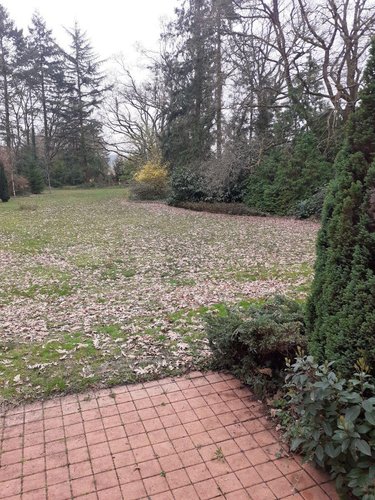 Maison a vendre Cérans-Foulletourte 72330 Sarthe 250 m2 10 pièces 346500 euros