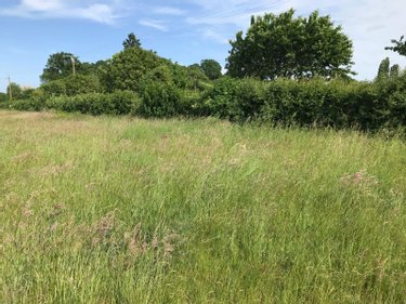 Terrain a batir a vendre Briosne-lès-Sables 72110 Sarthe 1153 m2  34866 euros