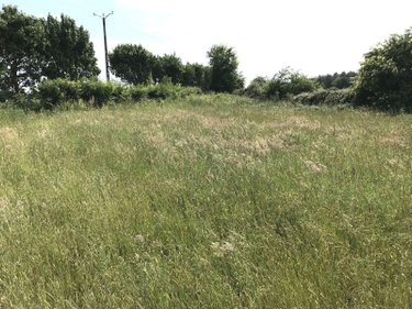 Terrain a batir a vendre Briosne-lès-Sables 72110 Sarthe 1153 m2  34866 euros