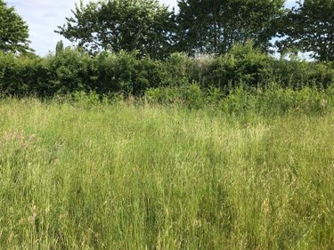 Terrain a batir a vendre Briosne-lès-Sables 72110 Sarthe 1153 m2  34866 euros