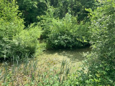 Maison a vendre Chaource 10210 Aube 140 m2 3 pièces 84700 euros