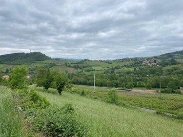 Terrain a batir a vendre Berzé-la-Ville 71960 Saône-et-Loire 3475 m2  110000 euros
