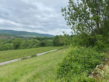 Terrain a batir a vendre Berzé-la-Ville 71960 Saône-et-Loire 3475 m2  110000 euros