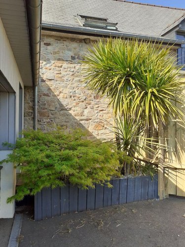 Location maison Marpiré 35220 Ille-et-Vilaine 83 m2 4 pièces 755 euros