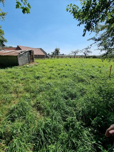 Terrain a batir a vendre Eringhem 59470 Nord 722 m2  87150 euros