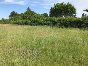 Terrain a batir a vendre Briosne-lès-Sables 72110 Sarthe 1029 m2  33339 euros