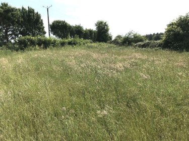 Terrain a batir a vendre Briosne-lès-Sables 72110 Sarthe 1029 m2  33339 euros