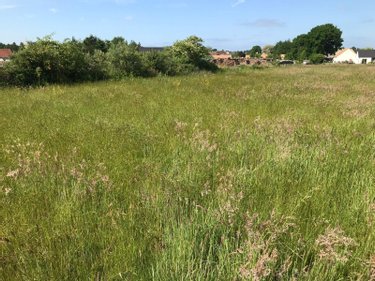 Terrain a batir a vendre Briosne-lès-Sables 72110 Sarthe 1029 m2  33339 euros
