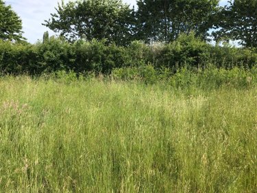 Terrain a batir a vendre Briosne-lès-Sables 72110 Sarthe 1633 m2  43200 euros