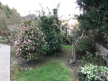 Maison a vendre Spézet 29540 Finistère 101 m2  102900 euros