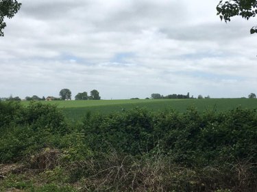 Maison a vendre Looberghe 59630 Nord 185 m2 10 pièces 409000 euros