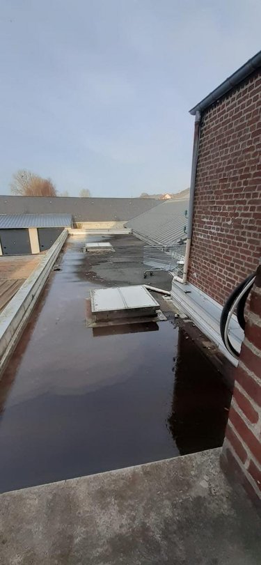 Immeuble a vendre Eu 76260 Seine-Maritime 293 m2  314600 euros