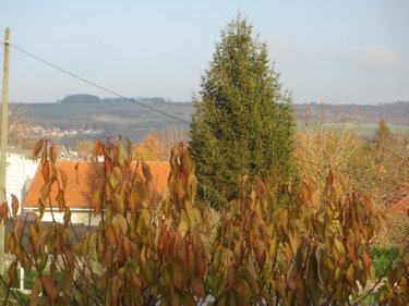 Maison a vendre Eu 76260 Seine-Maritime 148 m2 6 pièces 263000 euros