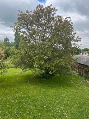 Maison a vendre Sept-Meules 76260 Seine-Maritime 148 m2 6 pièces 129000 euros