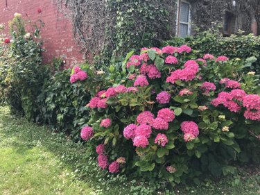 Maison a vendre Tully 80130 Somme 56 m2 5 pièces 53800 euros