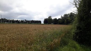 Terrain a batir a vendre Vismes 80140 Somme 1000 m2  32400 euros