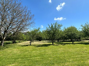 Maison a vendre Bannalec 29380 Finistère 82 m2 4 pièces 236250 euros