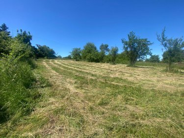 Terrain a batir a vendre Vy-le-Ferroux 70130 Haute-Saône 1900 m2  54800 euros