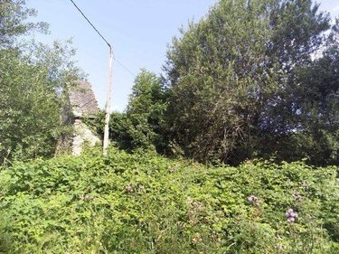 Terrains de loisirs bois etangs a vendre Condat 15190 Cantal 88362 m2  53000 euros