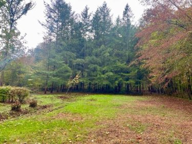 Maison a vendre Isle-et-Bardais 03360 Allier 54 m2 2 pièces 48000 euros