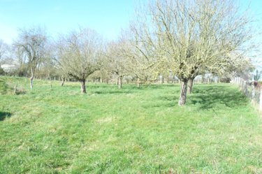 Maison a vendre Ambrières-les-Vallées 53300 Mayenne 94 m2 4 pièces 166400 euros