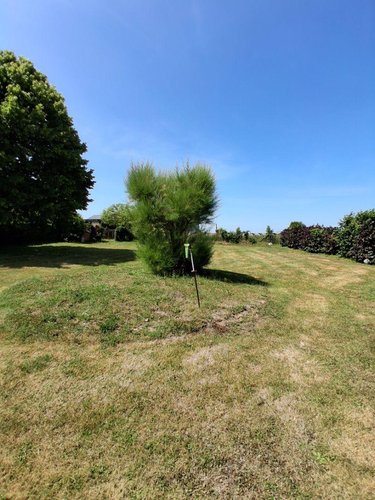 Maison a vendre Droisy 27320 Eure 128 m2 5 pièces 220500 euros
