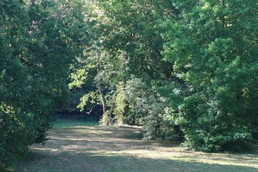 Maison a vendre Saint-Cyr 86130 Vienne 124 m2 6 pièces 262000 euros