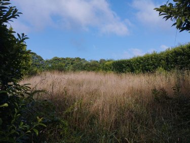 Maison a vendre Bannalec 29380 Finistère 81 m2  84800 euros