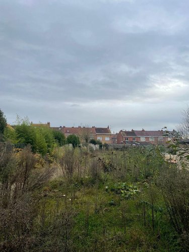 Maison a vendre Bailleul 59270 Nord 80 m2  136500 euros