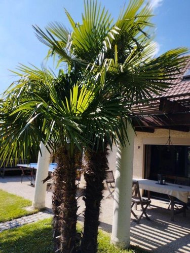Maison a vendre Fismes 51170 Marne 160 m2 6 pièces 480000 euros